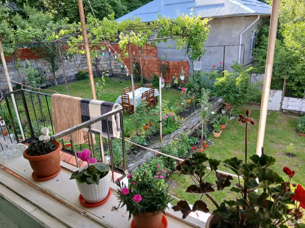 Qax günlük kirayə Həyət evi