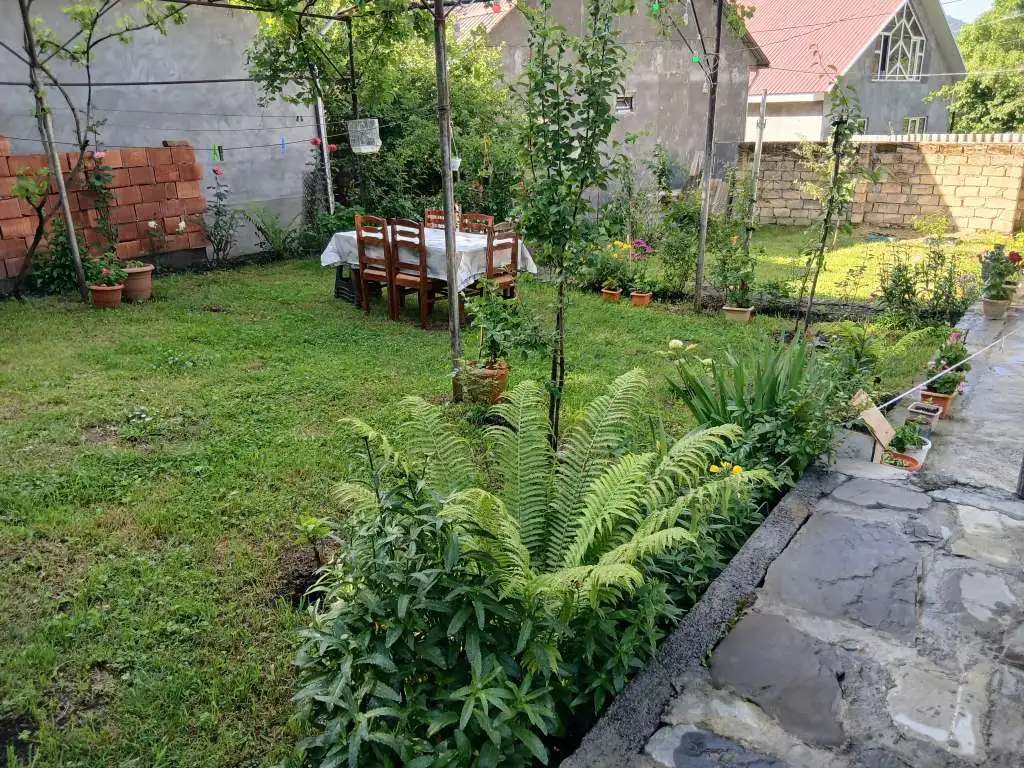 Qax günlük kirayə Həyət evi