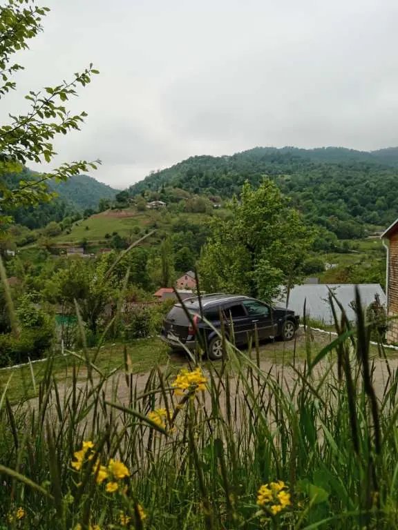 Lerik günlük kirayə Həyət evi