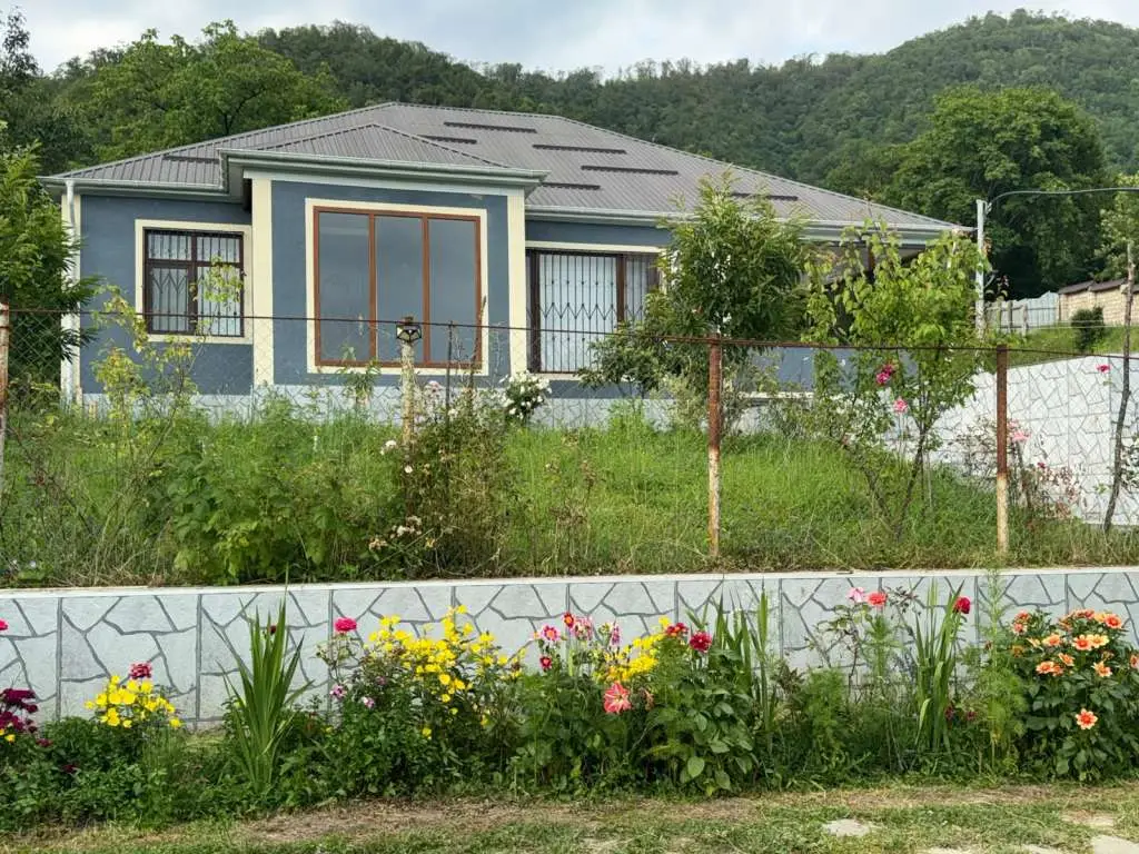 Qəbələ günlük kirayə Həyət evi